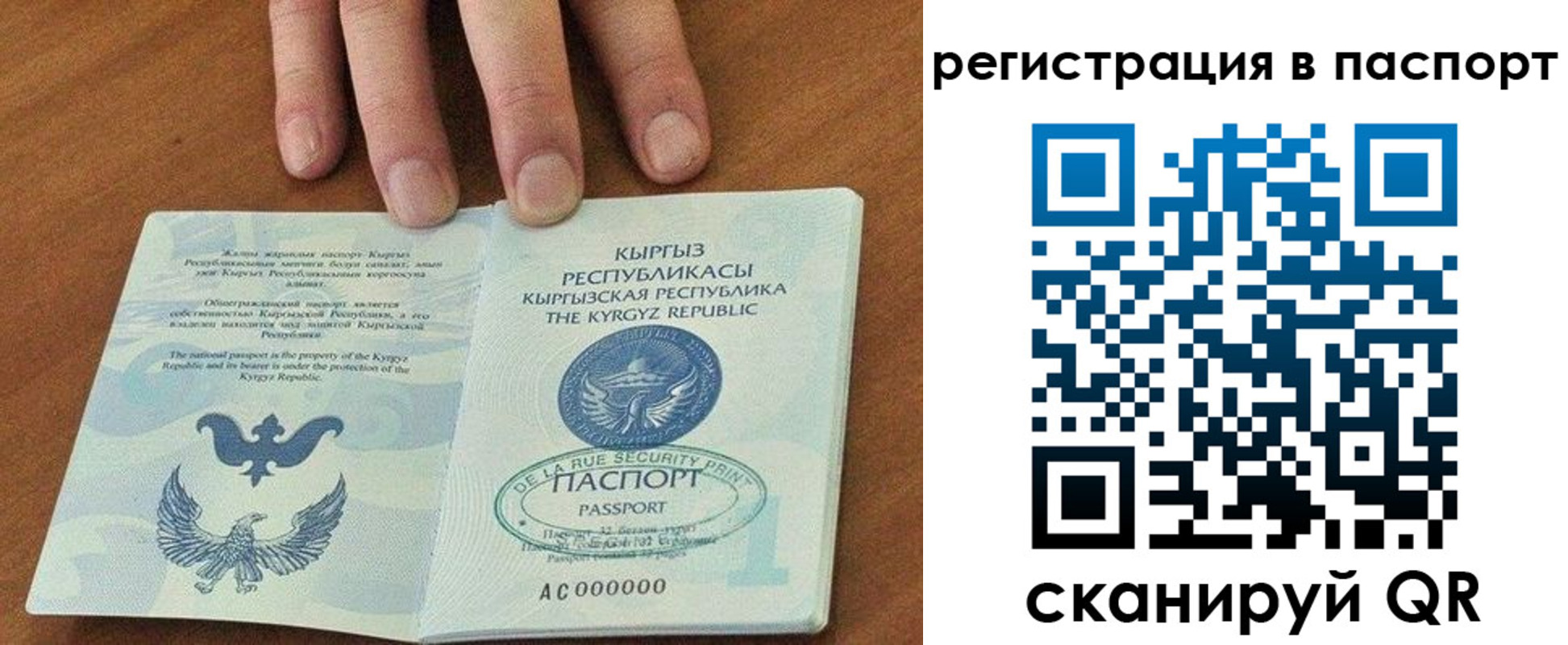 временная регистрация надежно в Светлограде